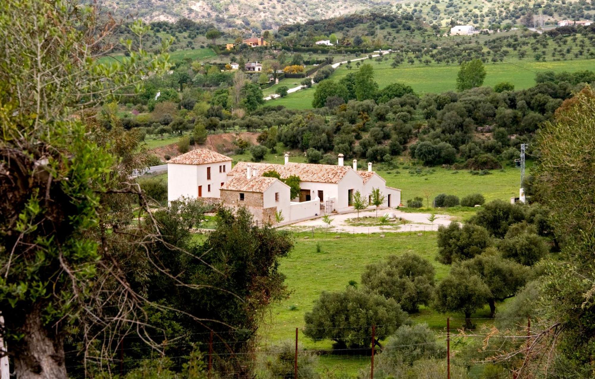 4 Hoteles Baratos en Sierra de Grazalema Que Valen la Pena