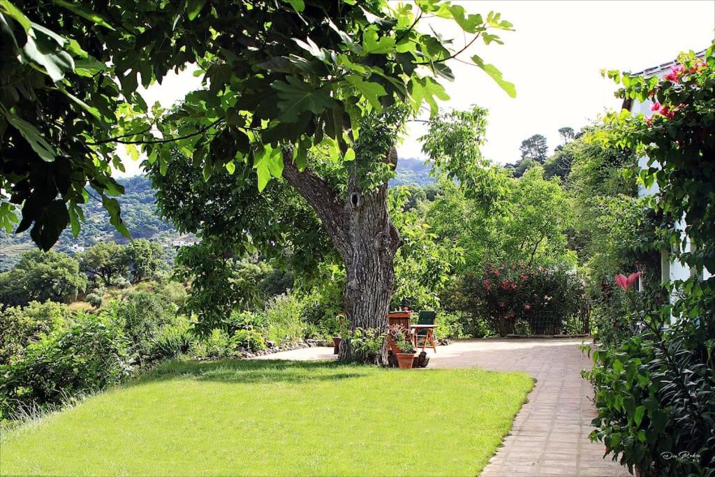 8 Casas Rurales y Villas en Andalucía que No Decepcionan